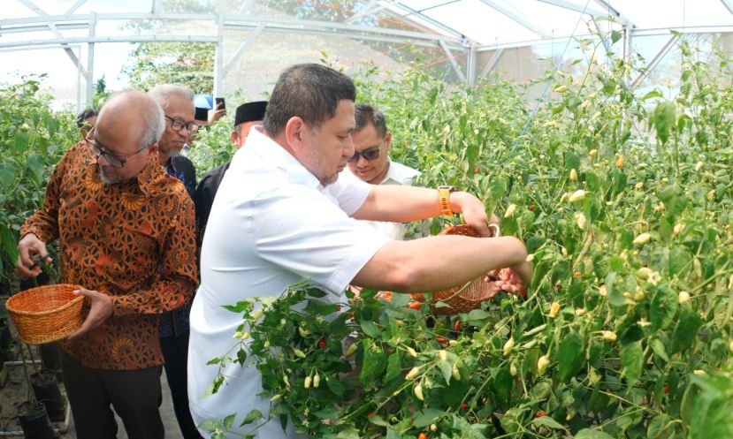 Wali Kota Makassar Dorong Ketahanan Pangan Lewat Urban Farming di Kawasan Perkotaan