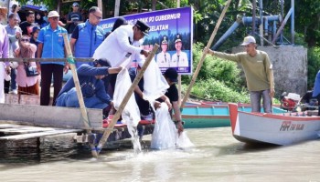 Program Ketahanan Pangan Sulsel, Pj Gubernur Akan Tebar 100 Juta Benih Nila